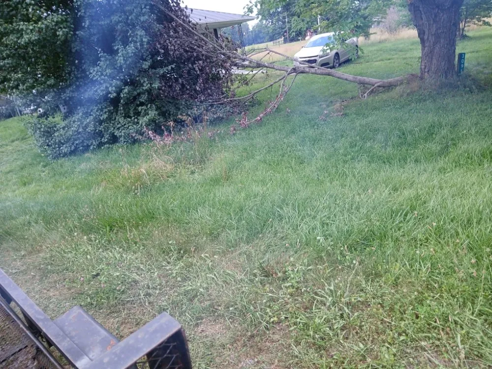 Reliable lawn care service in Mount Sterling, KY by Simple Eastern Cuts