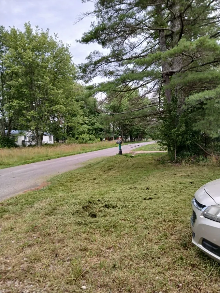 Local lawn care service in Mount Sterling, KY - Simple Eastern Cuts