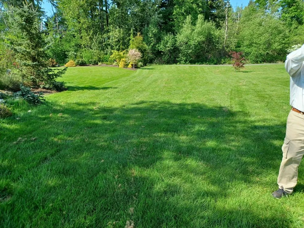 Trusted landscape design in Concrete, WA by Simple Green Landscaping & Lawn Care
