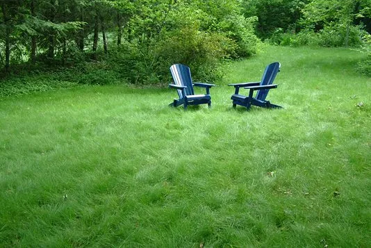 Expert residential landscaping with custom design in Concrete, WA by Simple Green Landscaping & Lawn Care