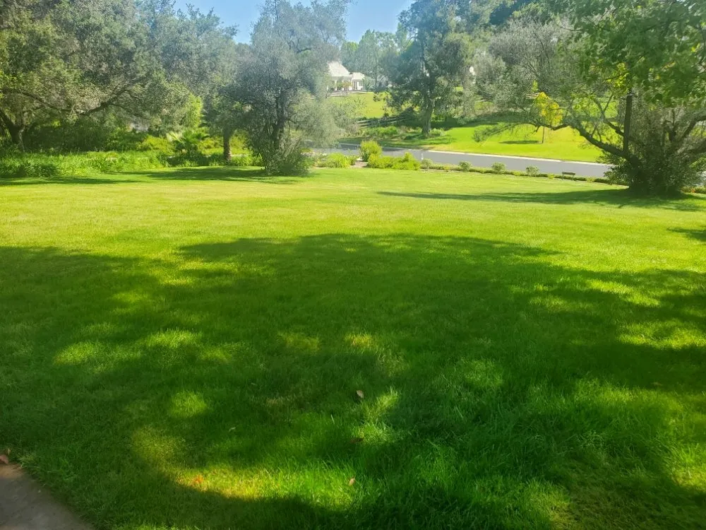 Top-rated landscape design in San Diego, CA - Simple-Gro Lawncare Services