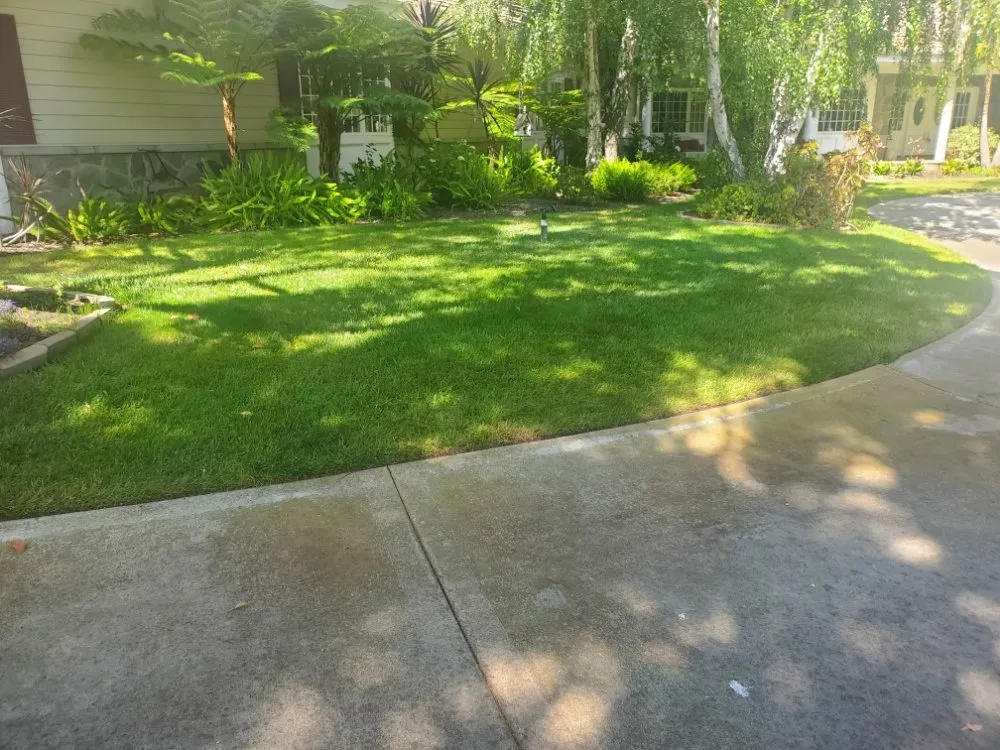 Top-rated landscape installation near you across San Diego, CA - Simple-Gro Lawncare Services