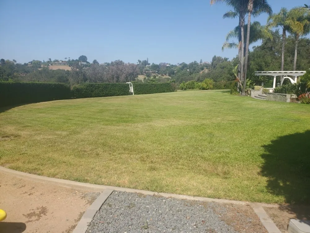 Trusted landscape installation for outdoor upgrades across San Diego, CA - Simple-Gro Lawncare Services