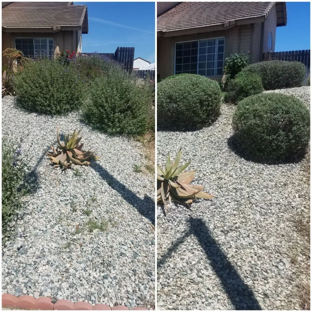 Local residential landscaping for residential properties in San Diego, CA by Simple-Gro Lawncare Services