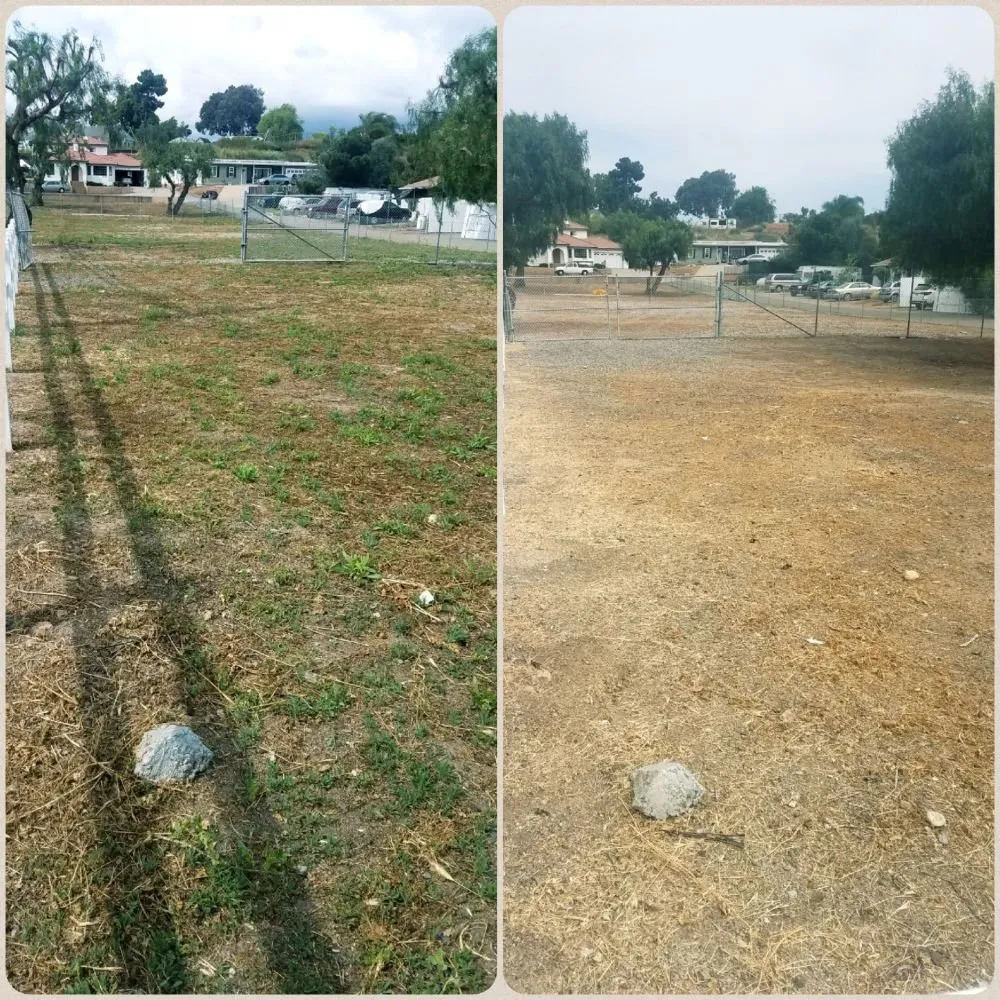 Professional yard cleanup service experts serving San Diego, CA - Simple-Gro Lawncare Services