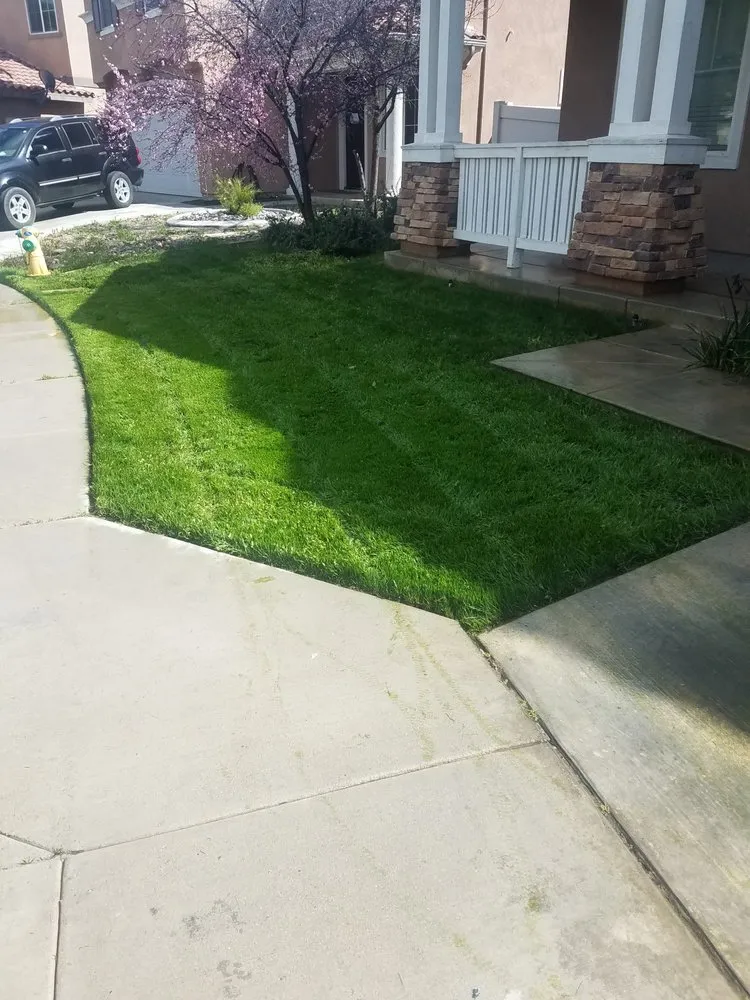 Top-rated yard maintenance in San Diego, CA by Simple-Gro Lawncare Services