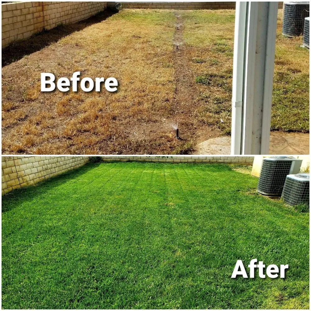 Trusted outdoor landscaping in San Diego, CA - Simple-Gro Lawncare Services