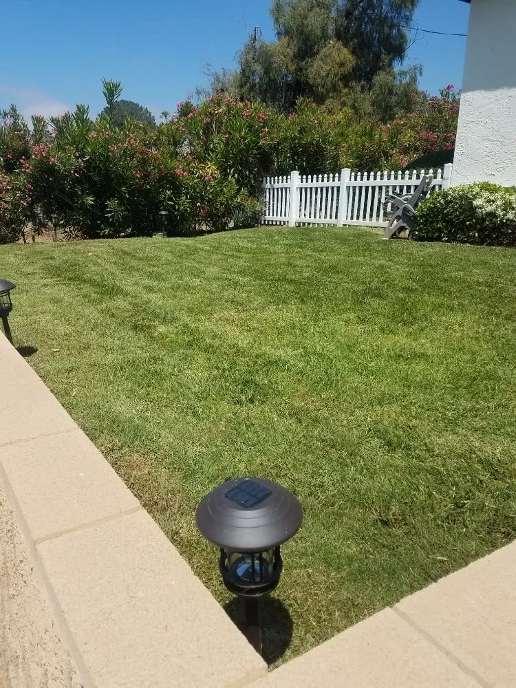 Local yard maintenance experts serving San Diego, CA - Simple-Gro Lawncare Services