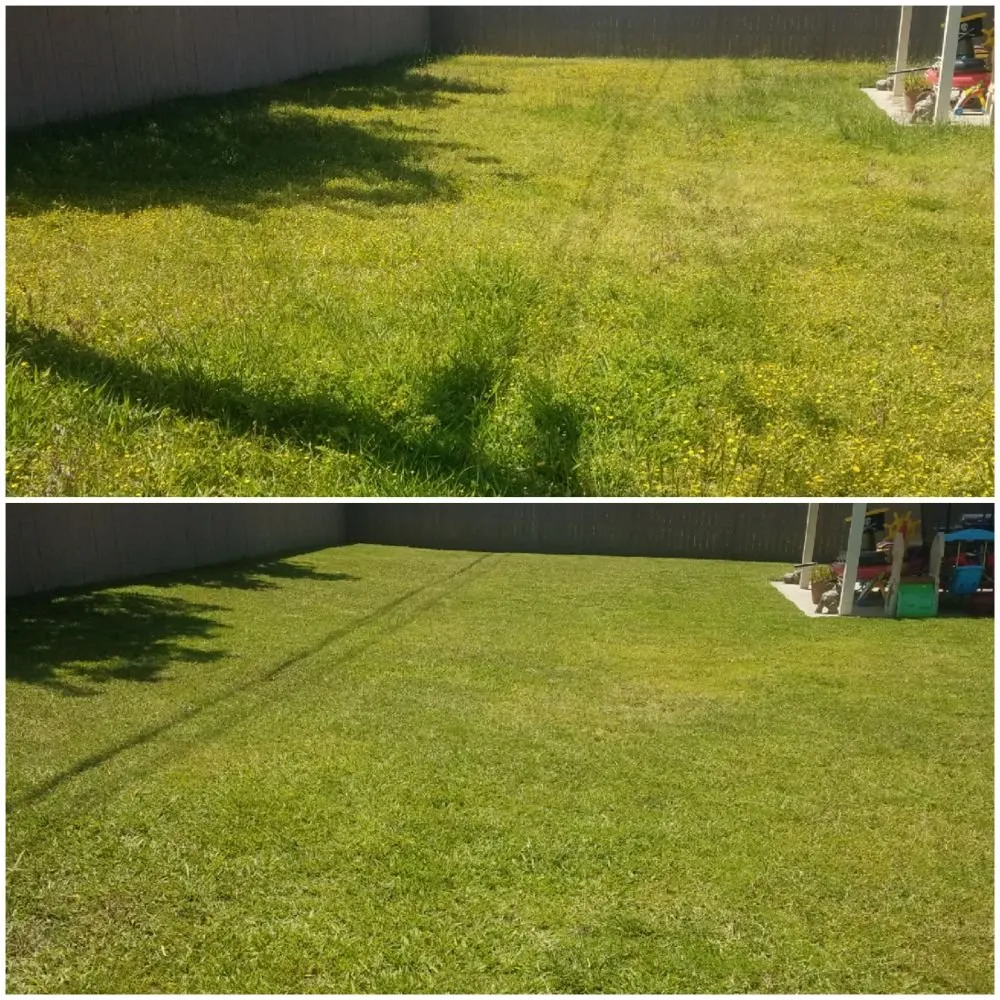 Custom residential landscaping in San Diego, CA by Simple-Gro Lawncare Services