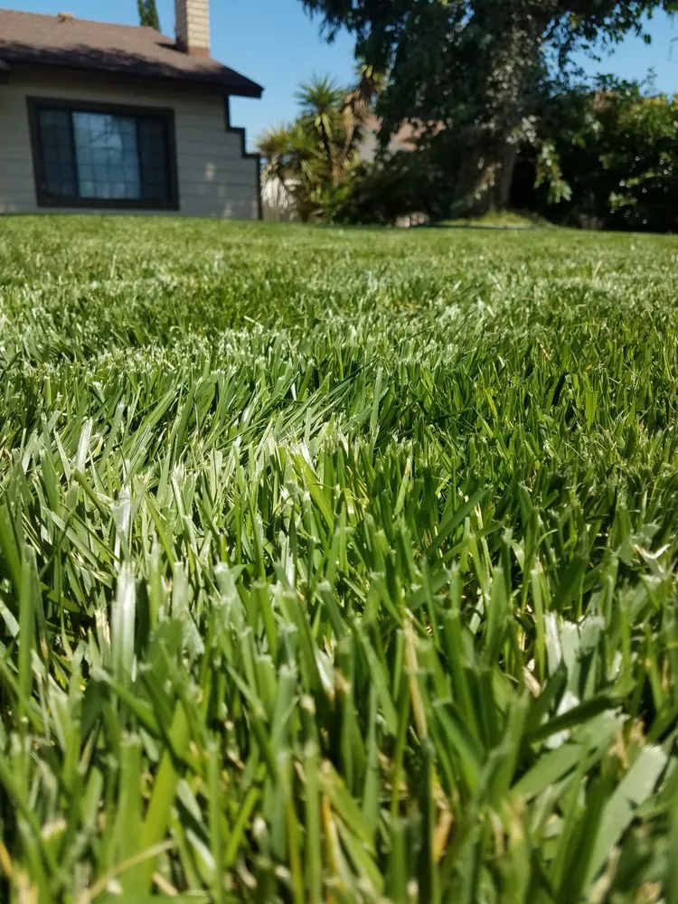 Expert outdoor landscaping experts serving San Diego, CA - Simple-Gro Lawncare Services