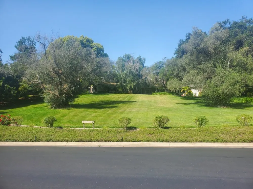 Top-rated lawn care service for outdoor upgrades across San Diego, CA - Simple-Gro Lawncare Services