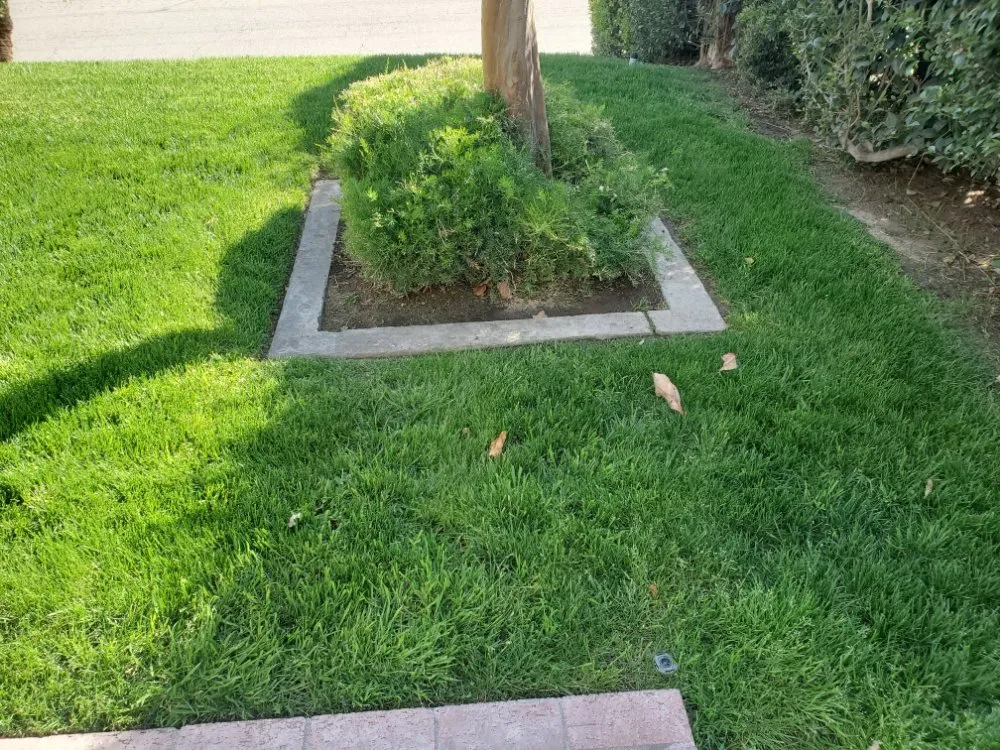 Local landscape design for year-round maintenance across San Diego, CA - Simple-Gro Lawncare Services