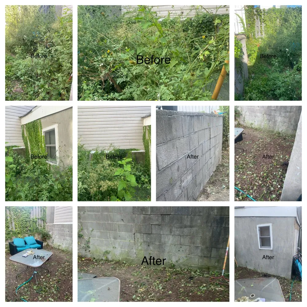 Local lawn mowing service for homes across Pikesville, MD - Simple handyman