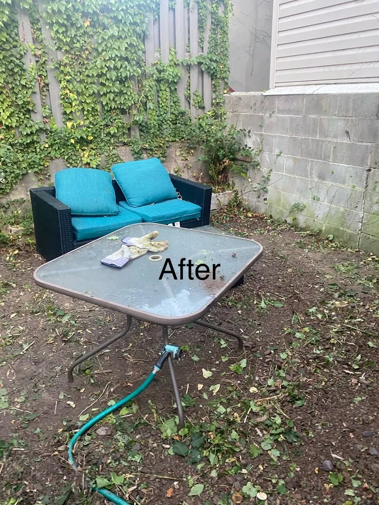 Local landscape design for year-round maintenance in Pikesville, MD by Simple handyman