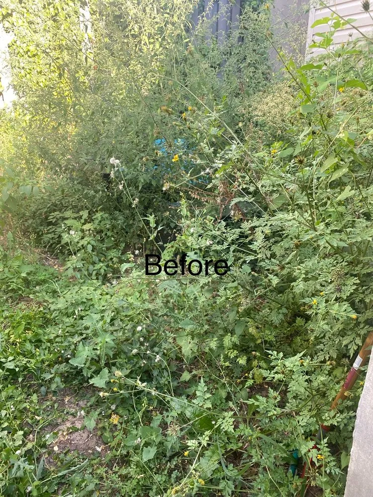 Professional landscape design in Pikesville, MD - Simple handyman