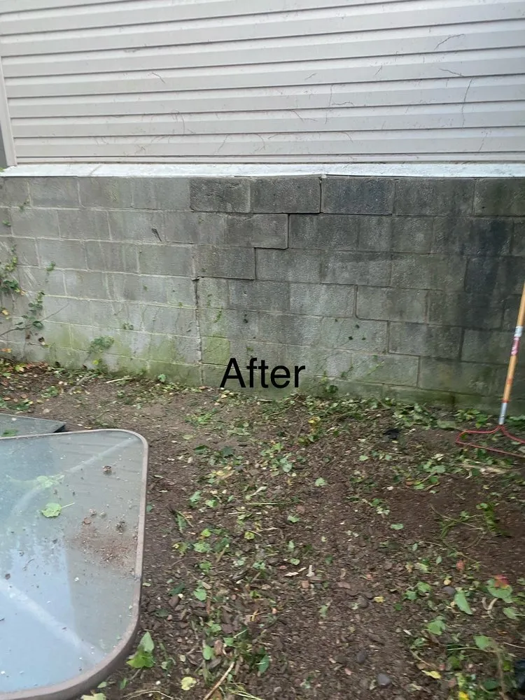 Affordable lawn care service for homes in Pikesville, MD by Simple handyman