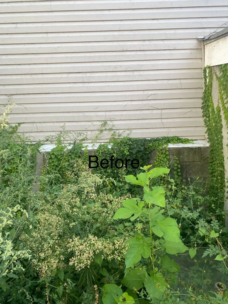 Local garden landscaping in Pikesville, MD - Simple handyman