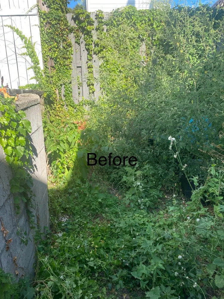 Local yard cleanup service in Pikesville, MD by Simple handyman