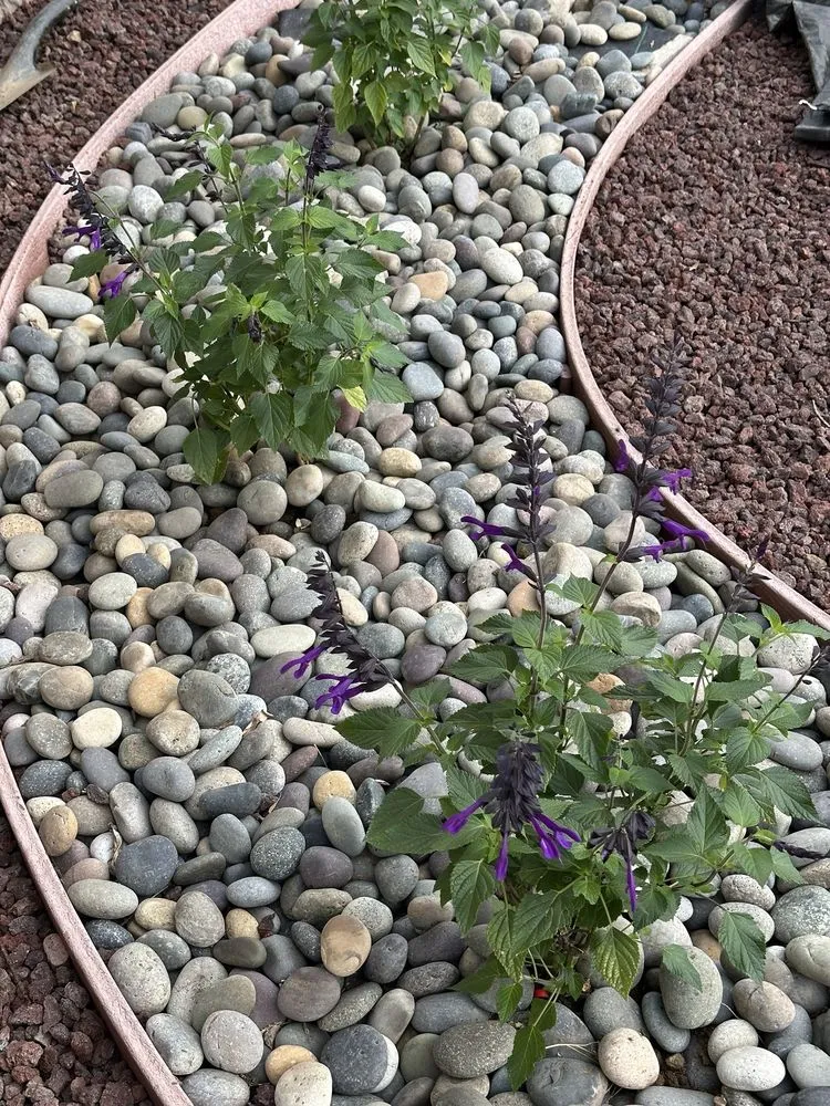 Reliable landscape design in Los Angeles, CA - Simple Landscape