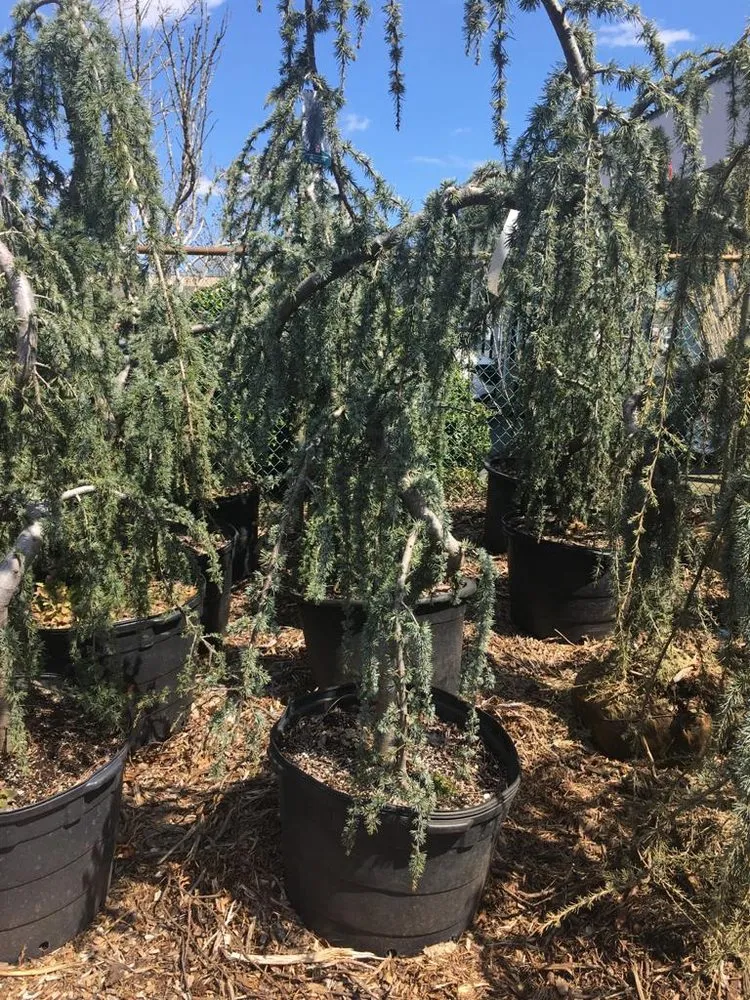 Top-rated garden landscaping in Brick Township, NJ by Simple Landscaping