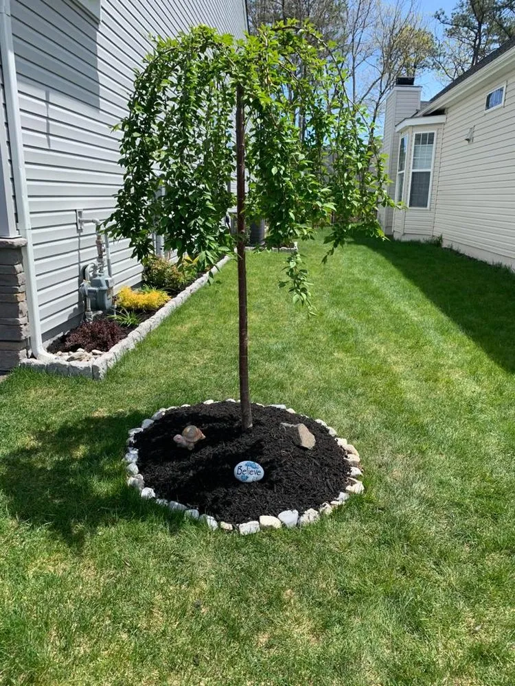 Reliable lawn care service in Brick Township, NJ by Simple Landscaping