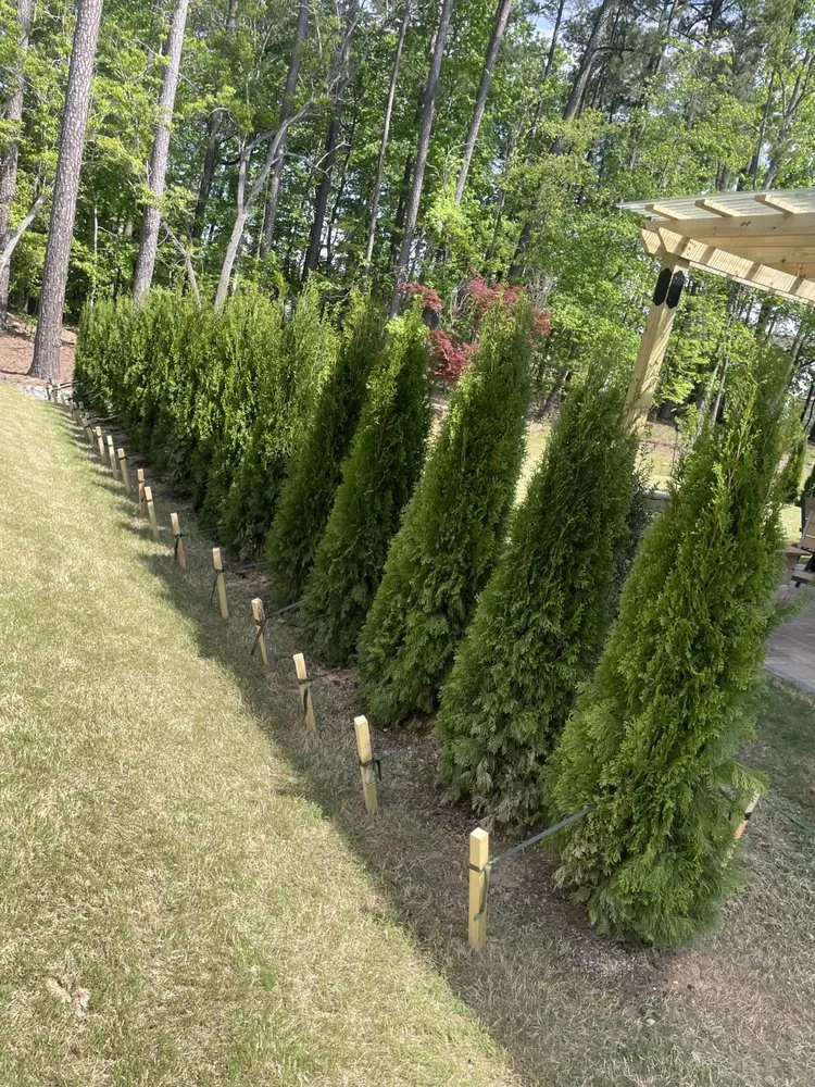 Affordable lawn care service in Garner, NC - Simple Landscaping