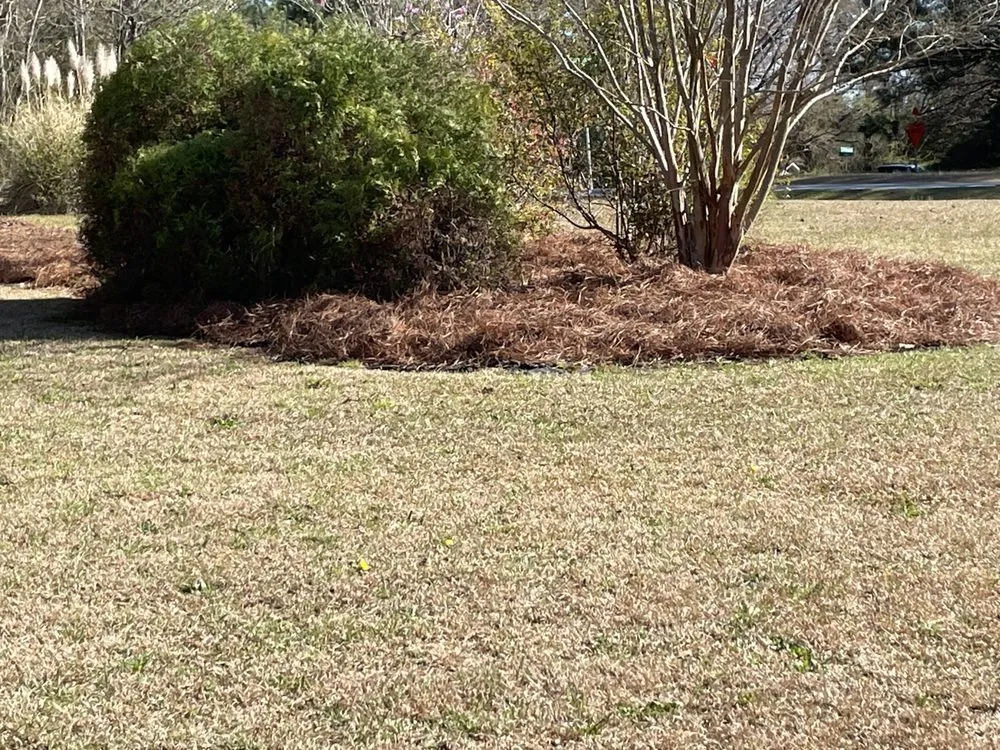 Reliable landscape installation experts serving Garner, NC - Simple Landscaping