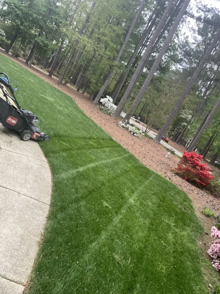 Affordable landscape design experts serving Garner, NC - Simple Landscaping