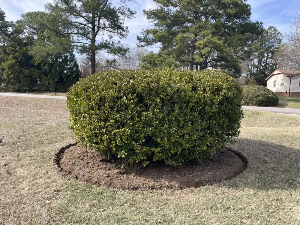 Reliable outdoor landscaping in Garner, NC by Simple Landscaping