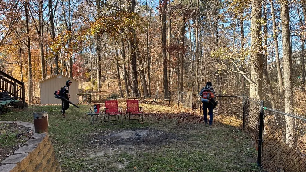 Local yard cleanup service in Garner, NC - Simple Landscaping