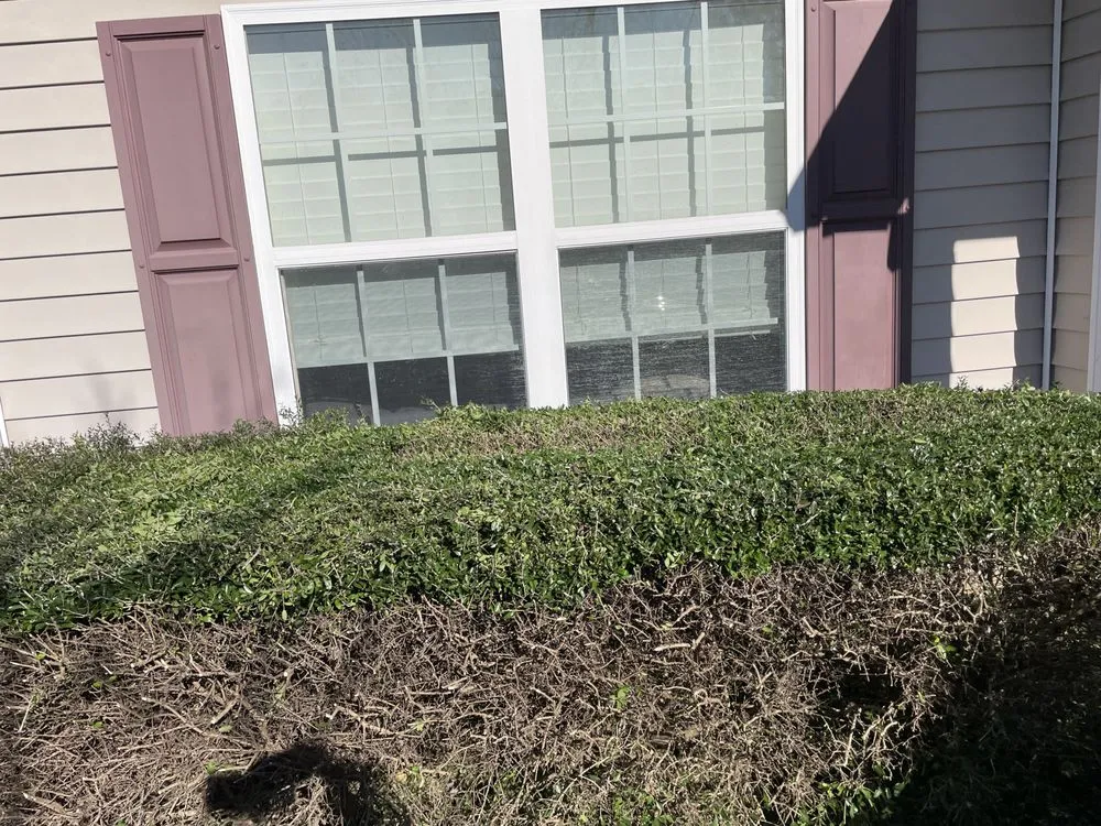 Expert lawn mowing service in Garner, NC - Simple Landscaping