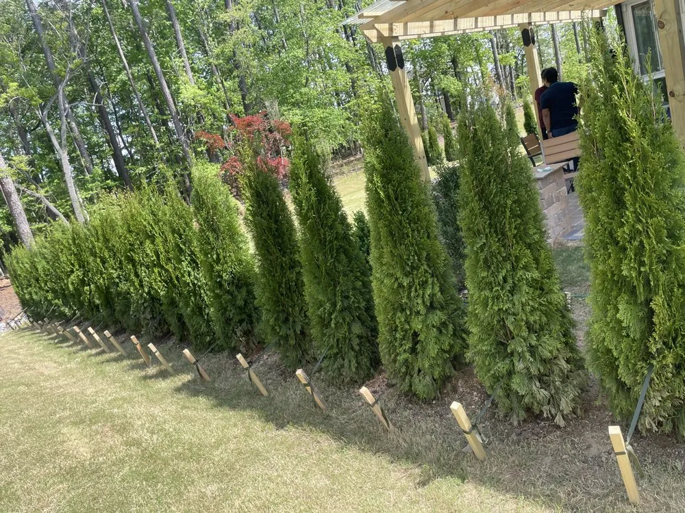 Expert lawn care service in Garner, NC by Simple Landscaping