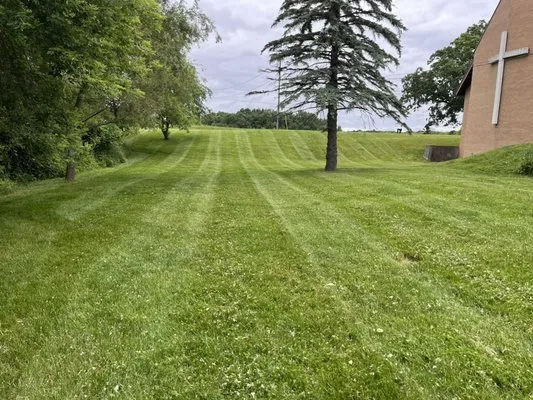 Simple Lawn And Landscape