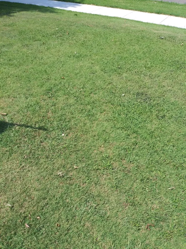 Affordable garden landscaping for outdoor upgrades in Oklahoma City, OK by Simple Lawn Care & Hauling