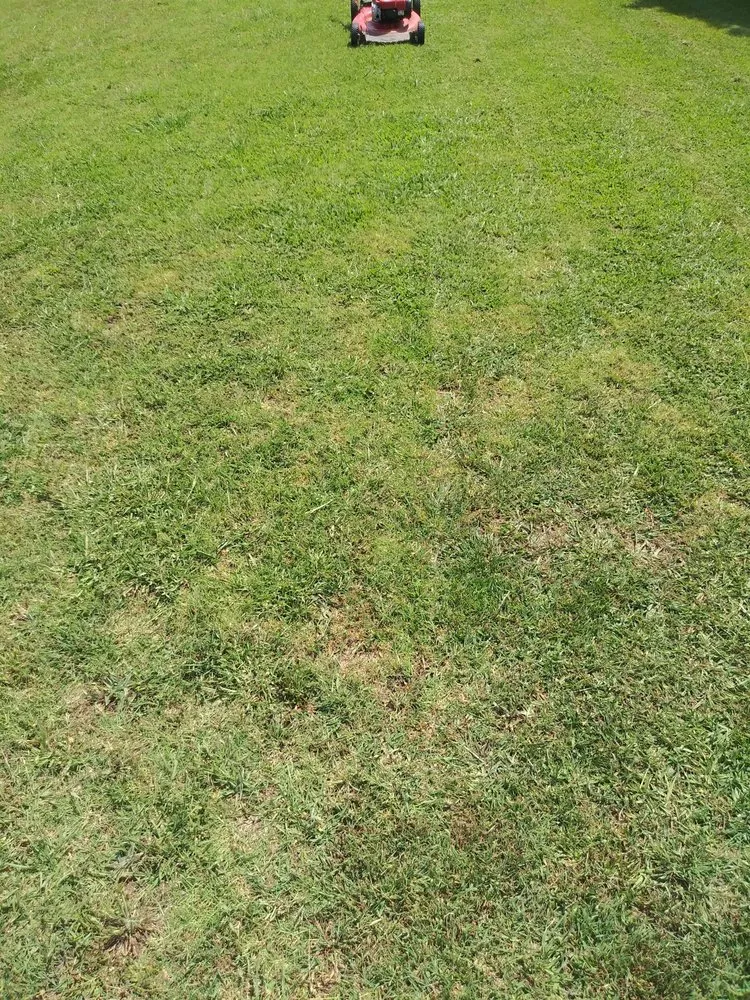 Local lawn care service near you across Oklahoma City, OK - Simple Lawn Care & Hauling