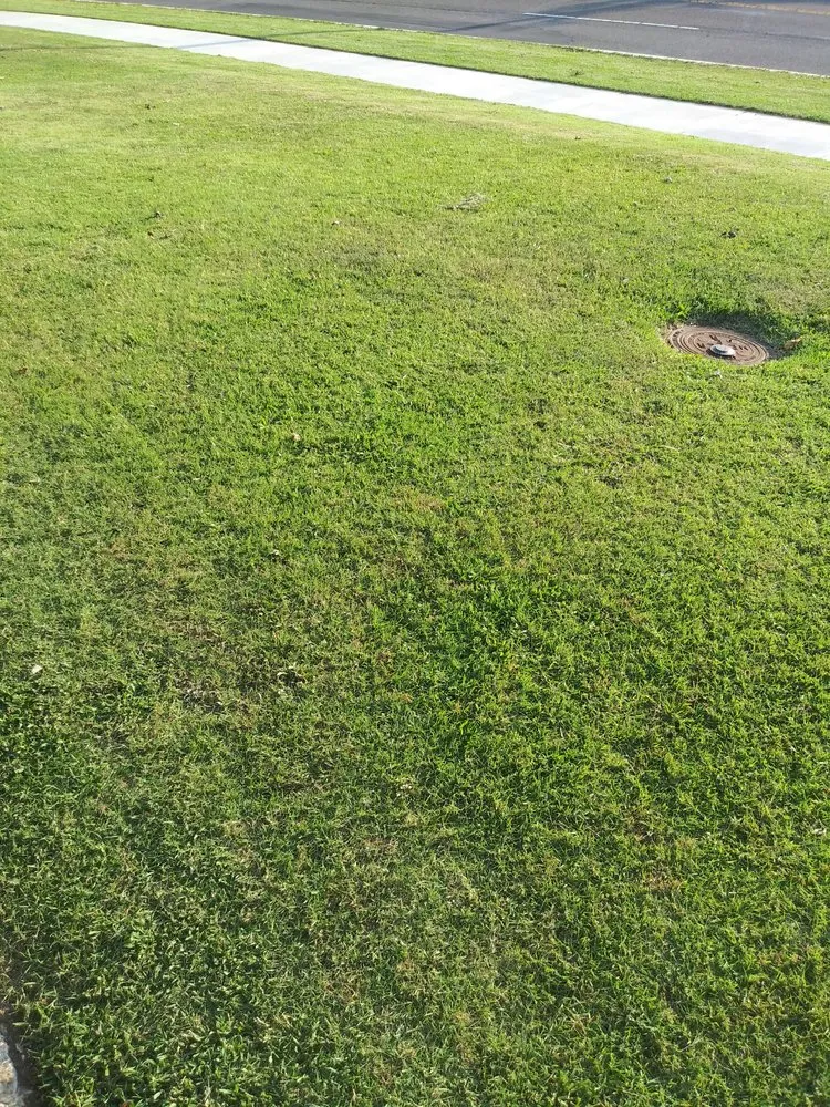 Professional lawn mowing service near you in Oklahoma City, OK by Simple Lawn Care & Hauling