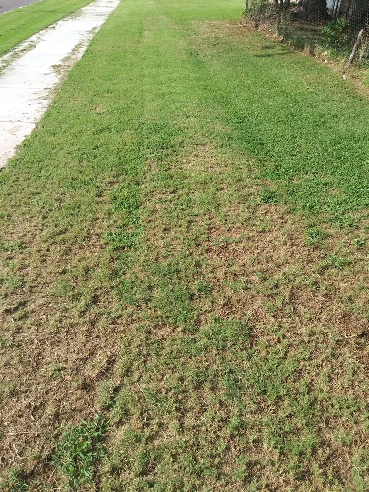 Trusted lawn mowing service experts serving Oklahoma City, OK - Simple Lawn Care & Hauling