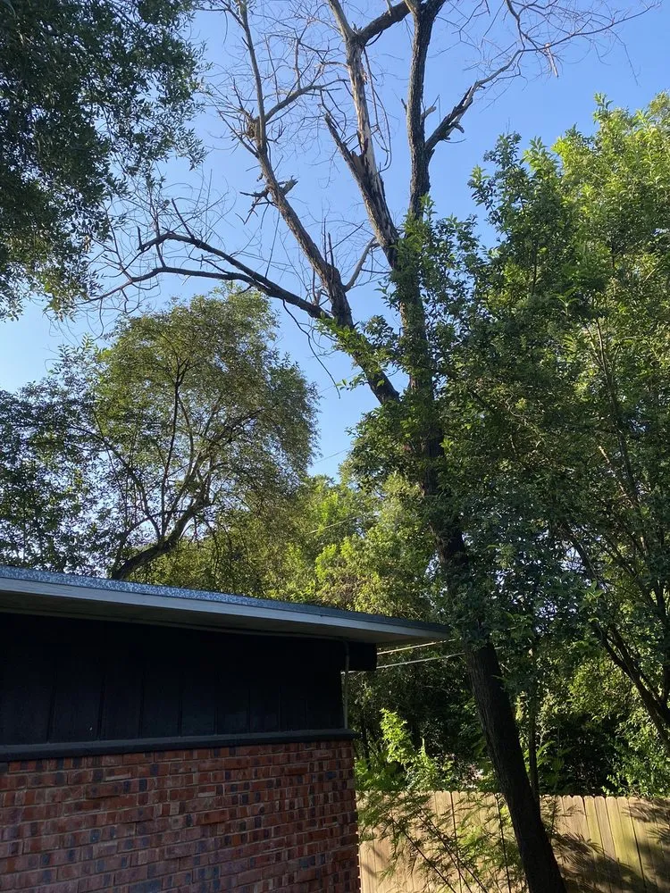 Local yard cleanup service for beautiful yards across San Antonio, TX - Simple Lawn Care