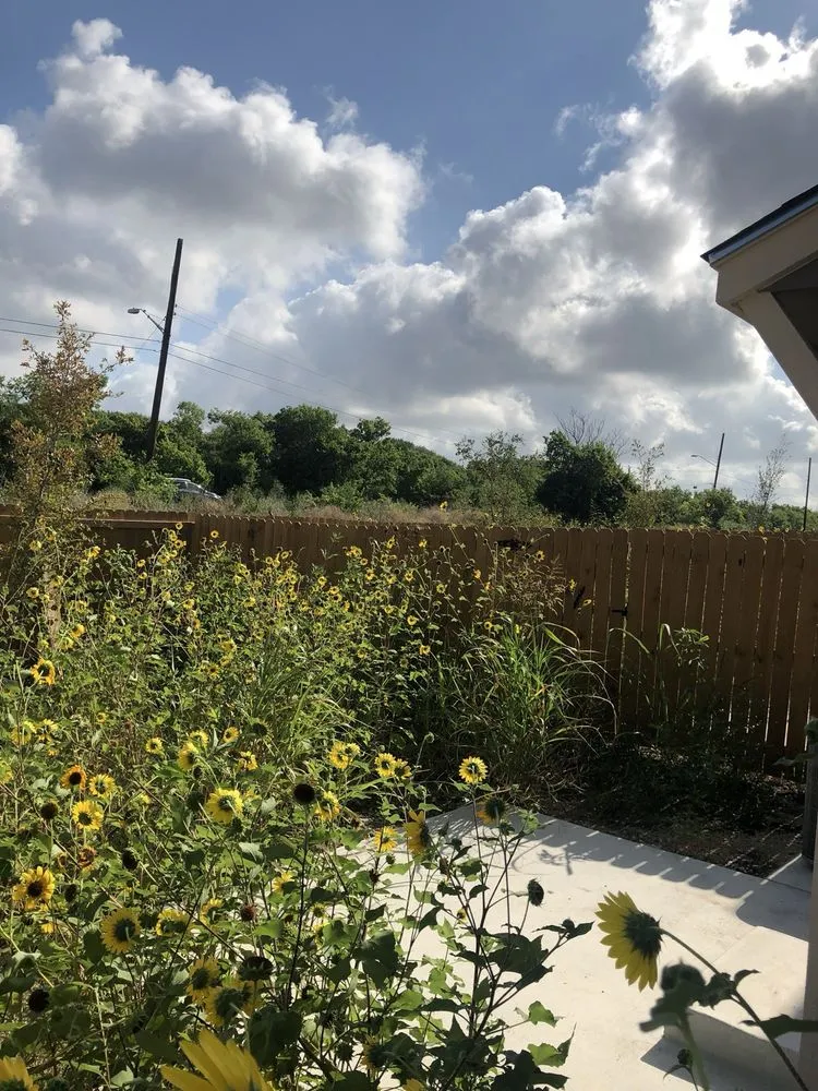 Top-rated lawn mowing service for outdoor upgrades across San Antonio, TX - Simple Lawn Care