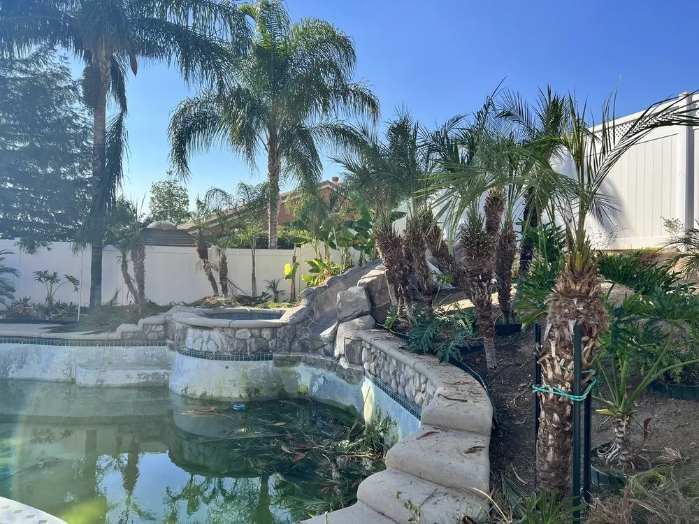 Custom yard cleanup service in San Bernardino, CA - Simple Lawn Service