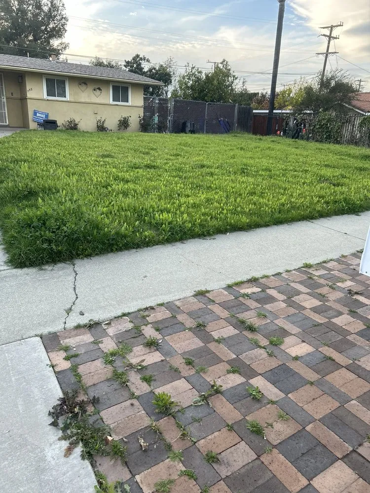 Top-rated garden landscaping experts serving San Bernardino, CA - Simple Lawn Service