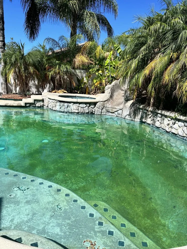 Trusted garden landscaping experts serving San Bernardino, CA - Simple Lawn Service