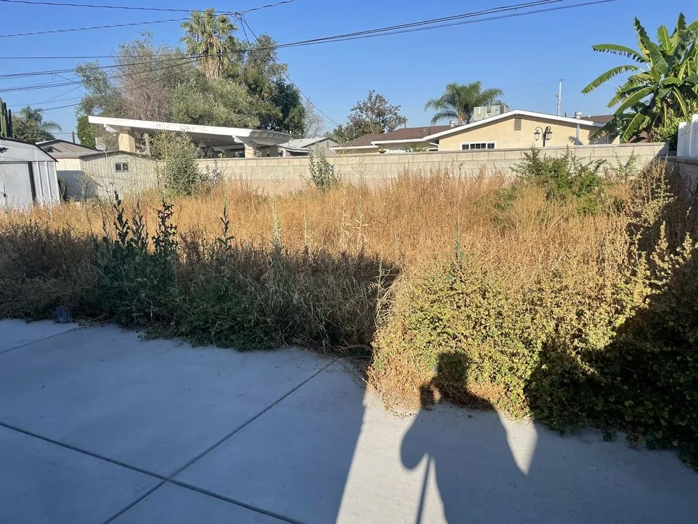 Top-rated landscape installation in San Bernardino, CA - Simple Lawn Service