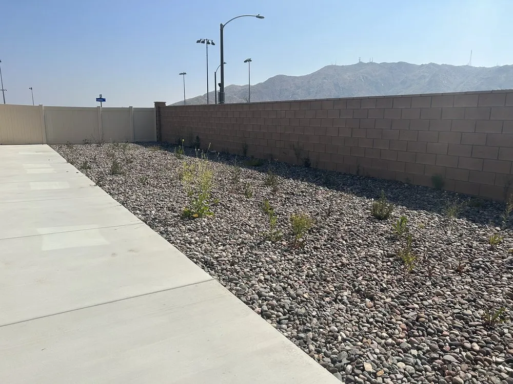 Custom garden landscaping in San Bernardino, CA by Simple Lawn Service