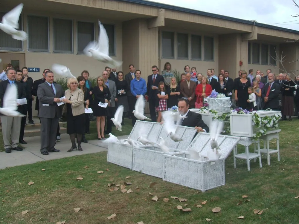 Top-rated yard maintenance experts serving San Bernardino, CA - Simple Lawn Service