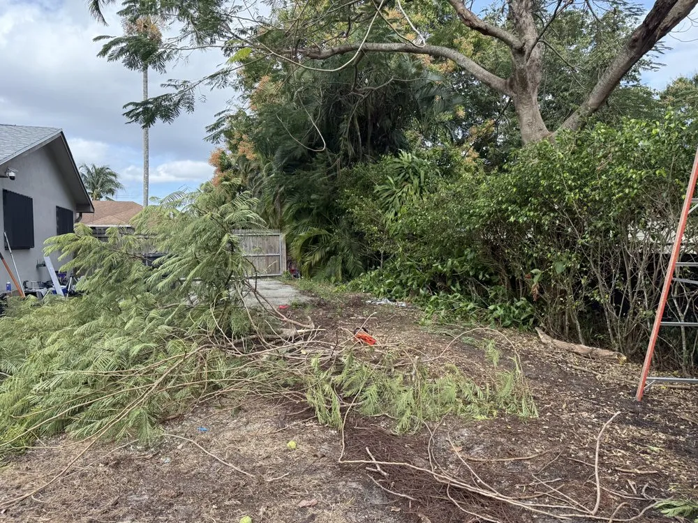 Affordable landscape design experts serving Lake Worth, FL - Simple Lawncare Solutions