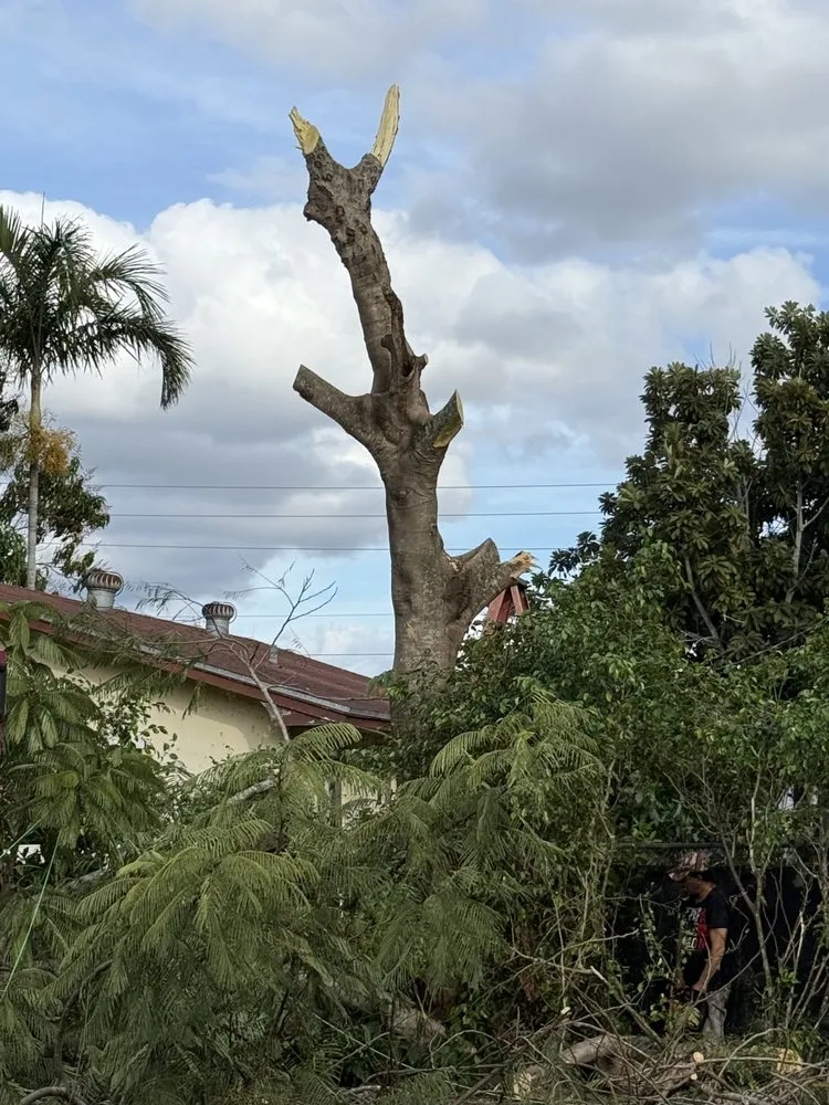 Expert yard maintenance experts serving Lake Worth, FL - Simple Lawncare Solutions