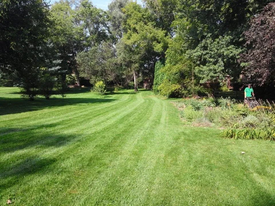 Expert lawn mowing service experts serving Ypsilanti, MI - Simple Lawns