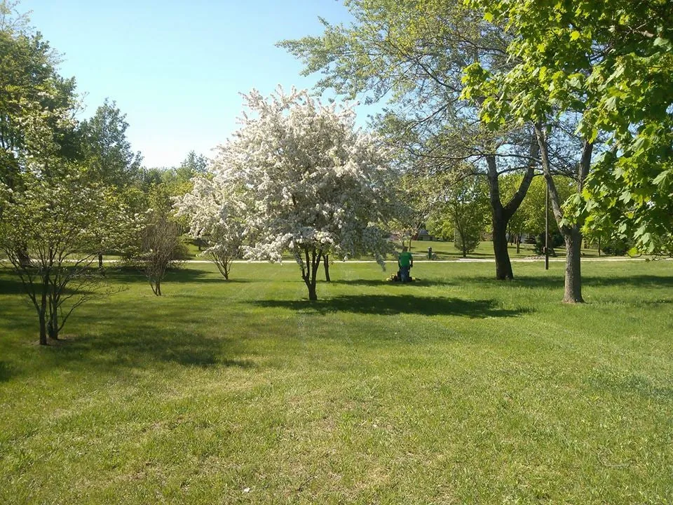 Reliable landscaping services for beautiful yards in Ypsilanti, MI by Simple Lawns