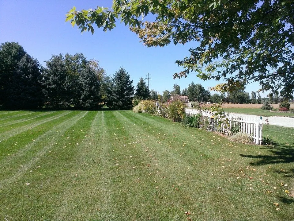 Local outdoor landscaping in Ypsilanti, MI by Simple Lawns